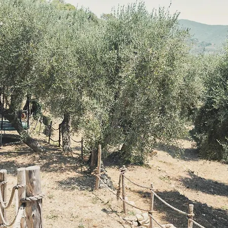 Modern With Sea View In 別荘